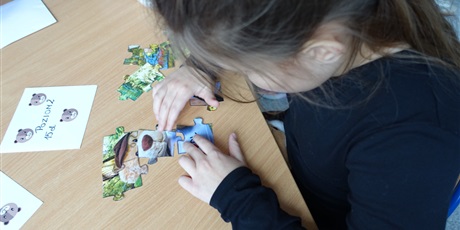 Powiększ grafikę: Dziewczynka układa puzzle ze zdjęciem pluszowego misia.