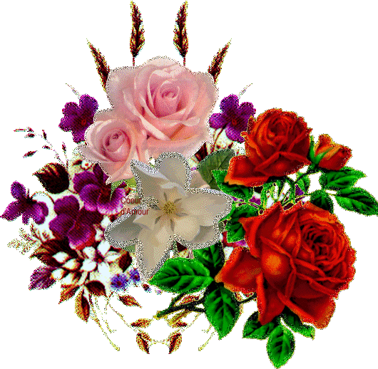 kolorowy bukiet kwiatów